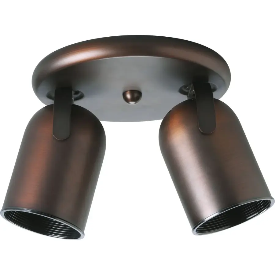 Two-Light Multi-Directional Roundback Wall/Ceiling Fixture - Image 2