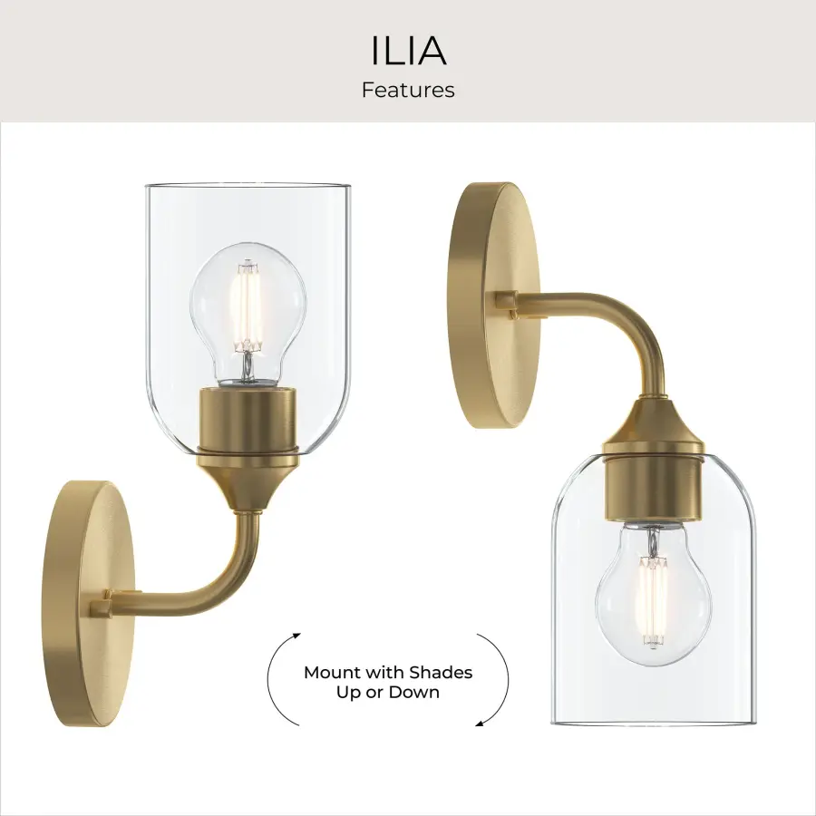 Ilia Wall Sconce in Brushed Gold - Image 28