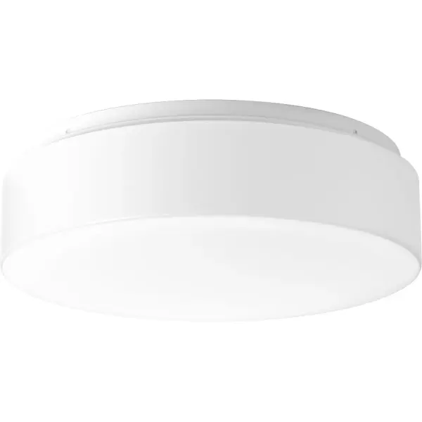 This 13.5" LED flush mount delivers energy-efficient illumination in a clean, contemporary design. Perfect for spaces with lower ceilings or where a streamlined look is desired. JA8 and Title 24 compliant.