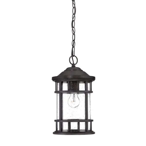 Vista II 1-Light Outdoor Hanging Lantern in Black Coral