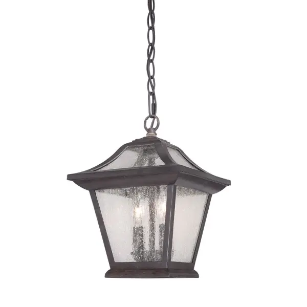 Aiken 2-Light Hanging Lantern in Black Coral