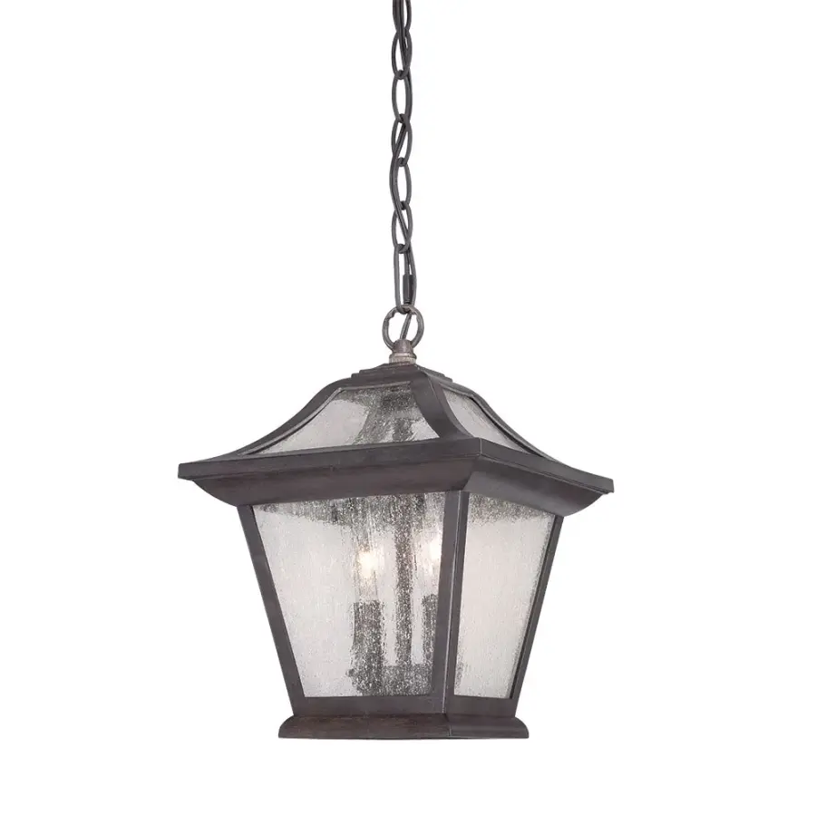 Aiken 2-Light Hanging Lantern in Black Coral
