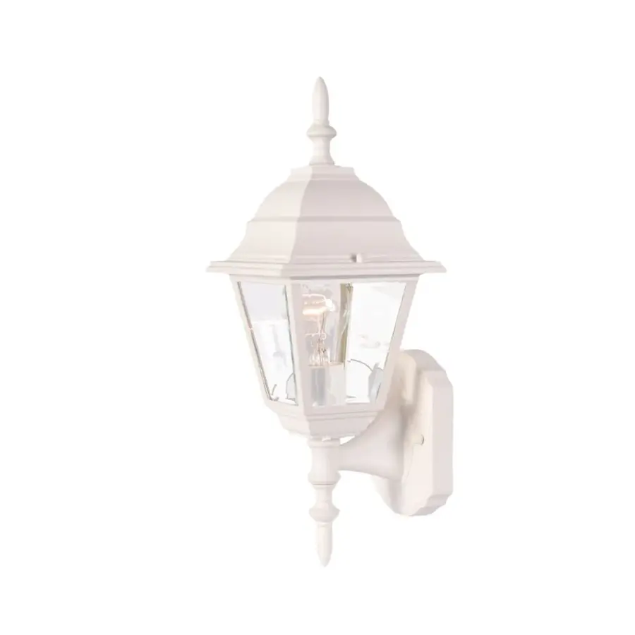 Builder's Choice 1-Light Outdoor Wall Lantern - Image 1