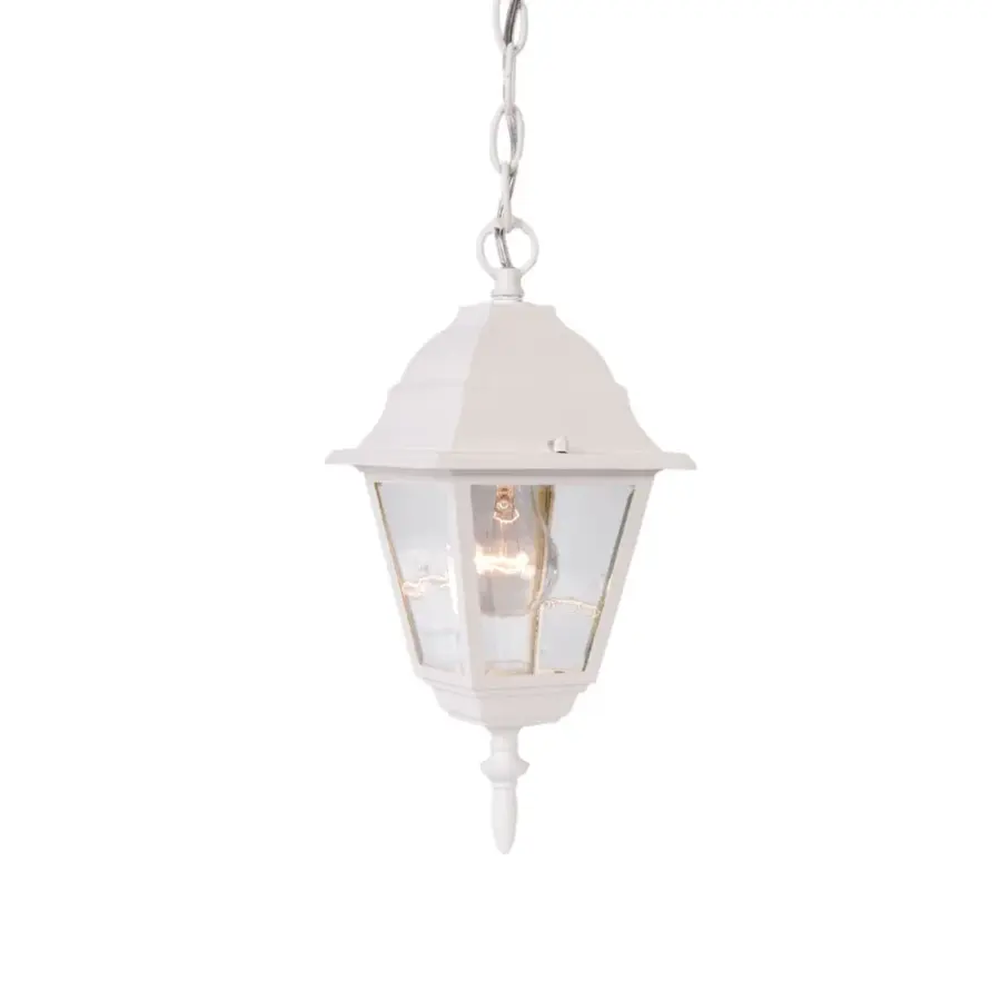 Builder's Choice 1-Light Outdoor Hanging Lantern - Image 1