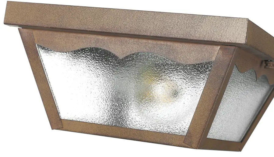 Builder's Choice 1-Light Outdoor Ceiling Mount - Image 2