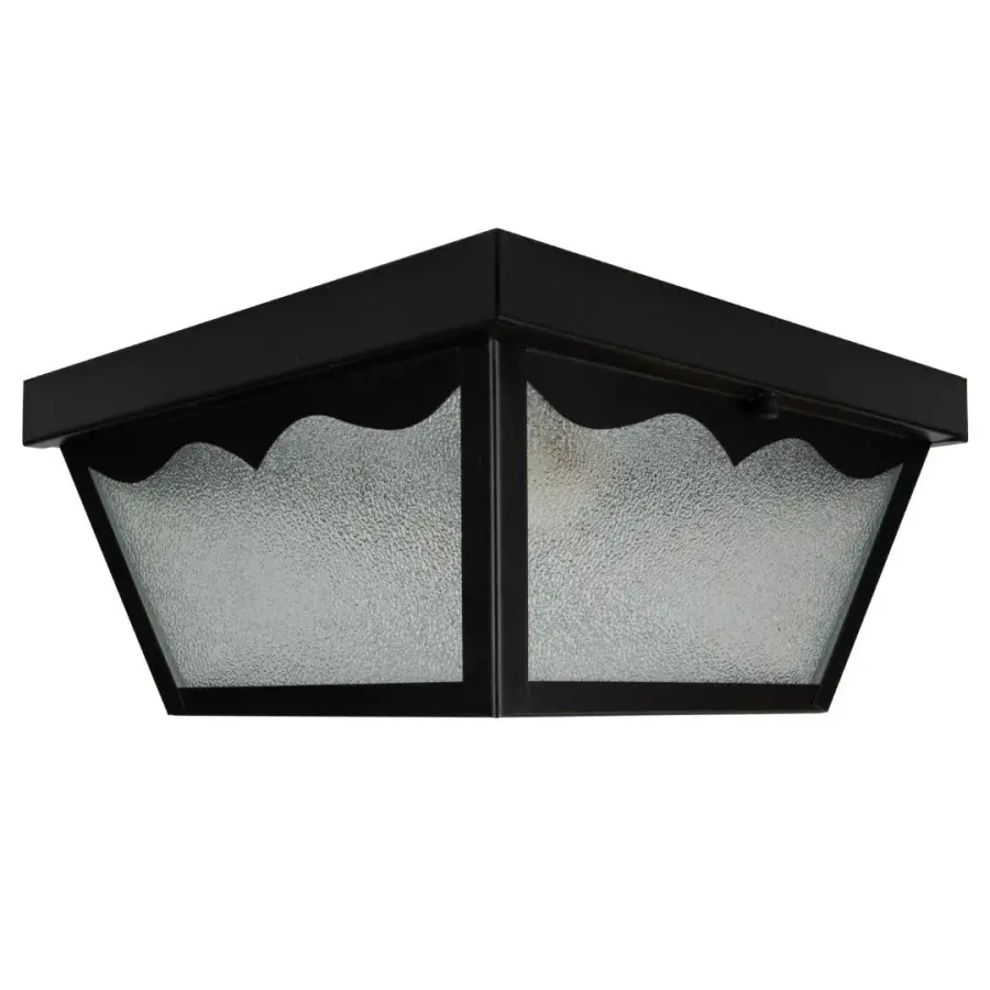 Builder's Choice 2-Light Outdoor Ceiling Mount - Image 1