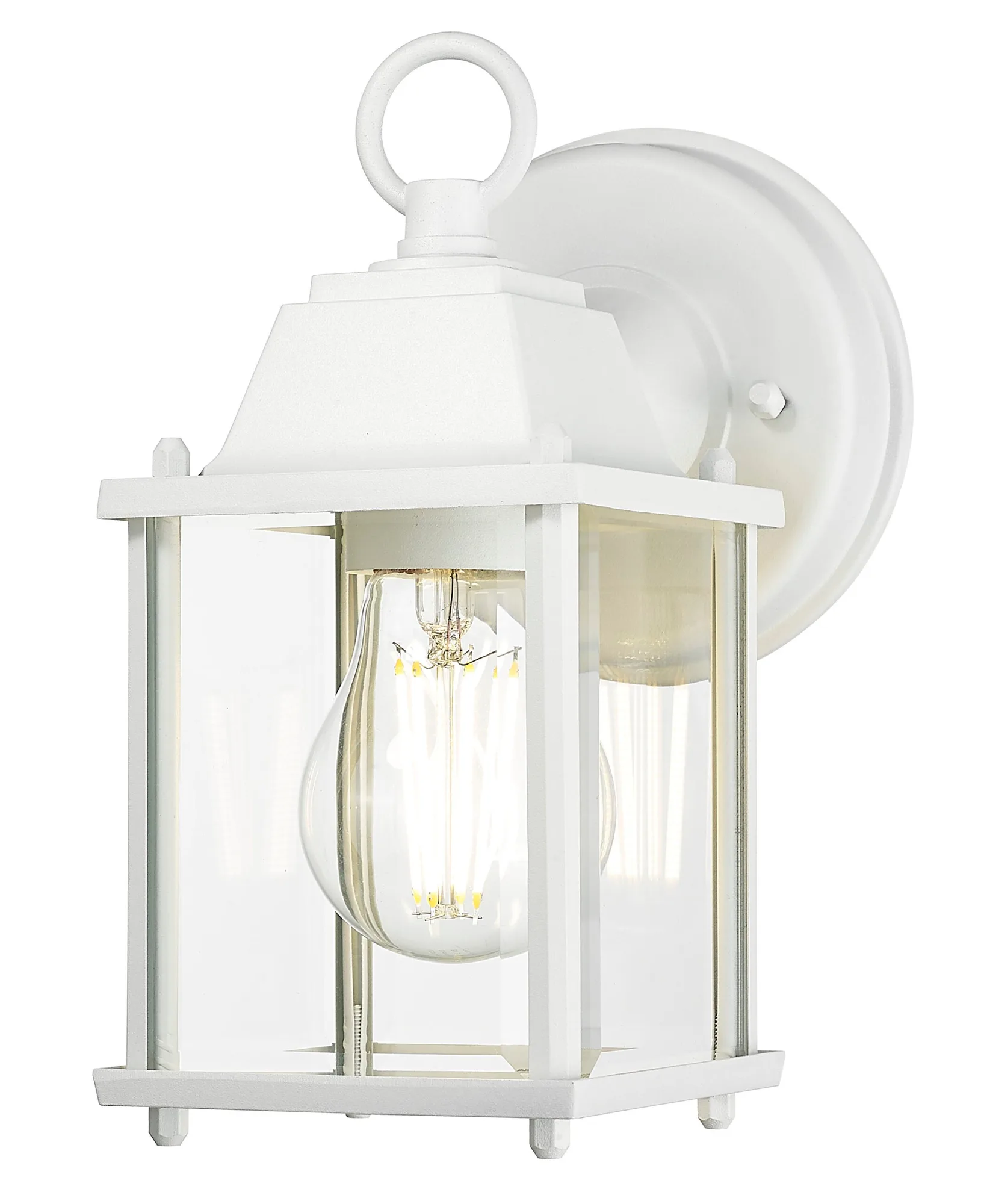 Builder's Choice 1-Light Outdoor Wall Lantern