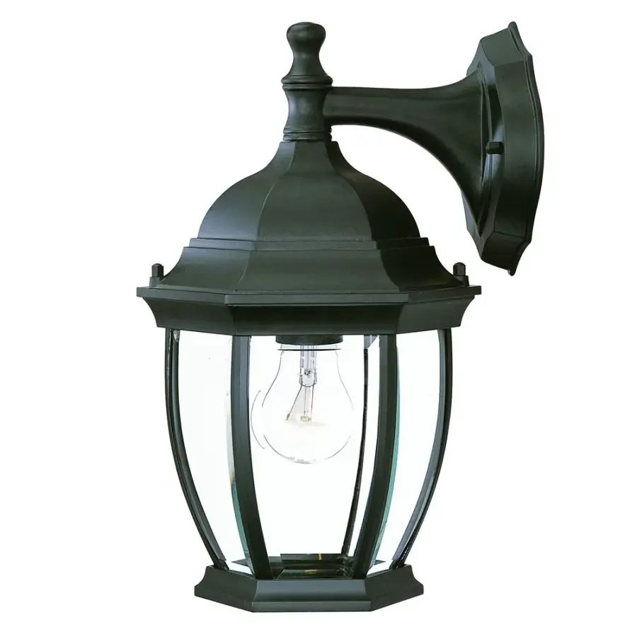 Wexford 1-Light Outdoor Wall Lantern