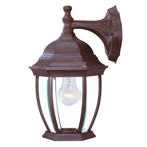 Wexford 1-Light Outdoor Wall Lantern