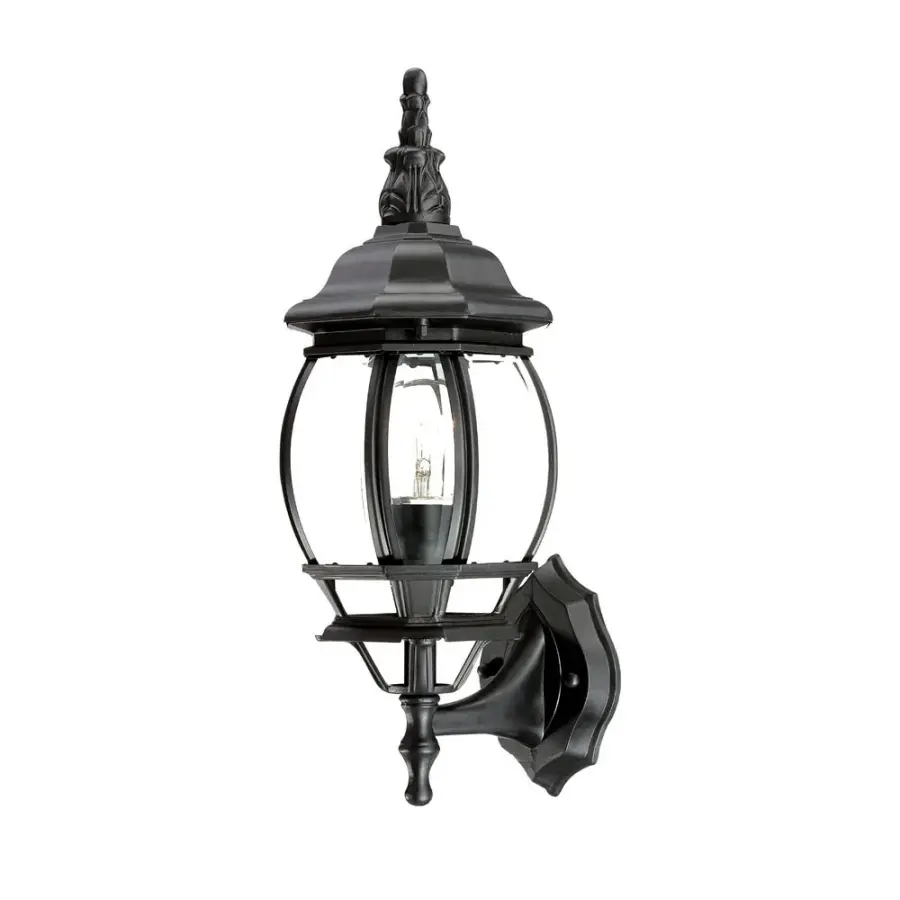 Chateau 1-Light Outdoor Wall Lantern