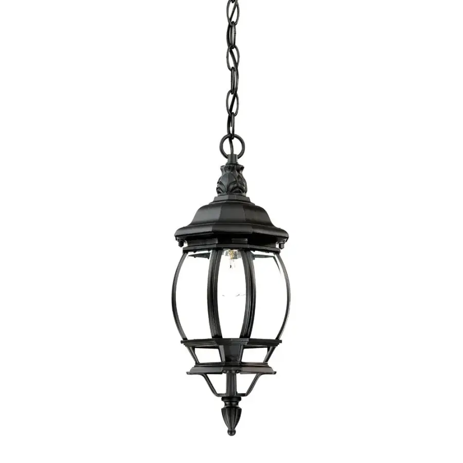 Chateau 1-Light Outdoor Hanging Lantern
