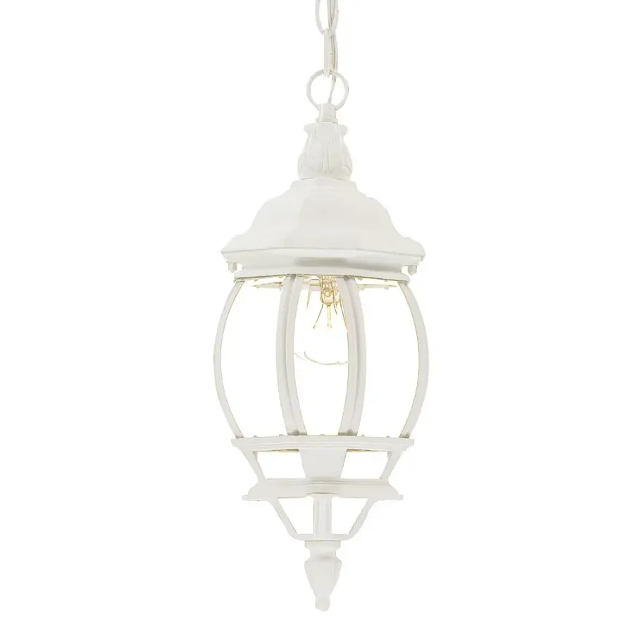 Chateau 1-Light Outdoor Hanging Lantern