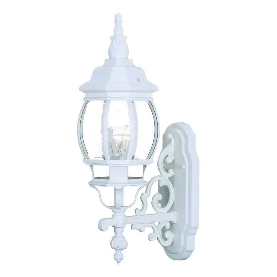 Chateau 1-Light Outdoor Wall Lantern
