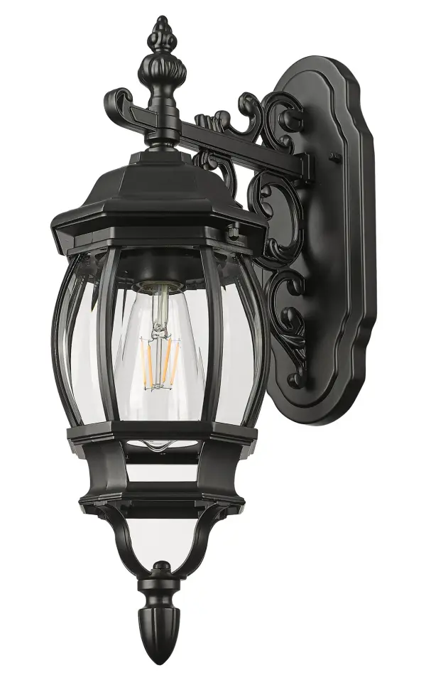 Chateau 1-Light Outdoor Wall Sconce - Image 3