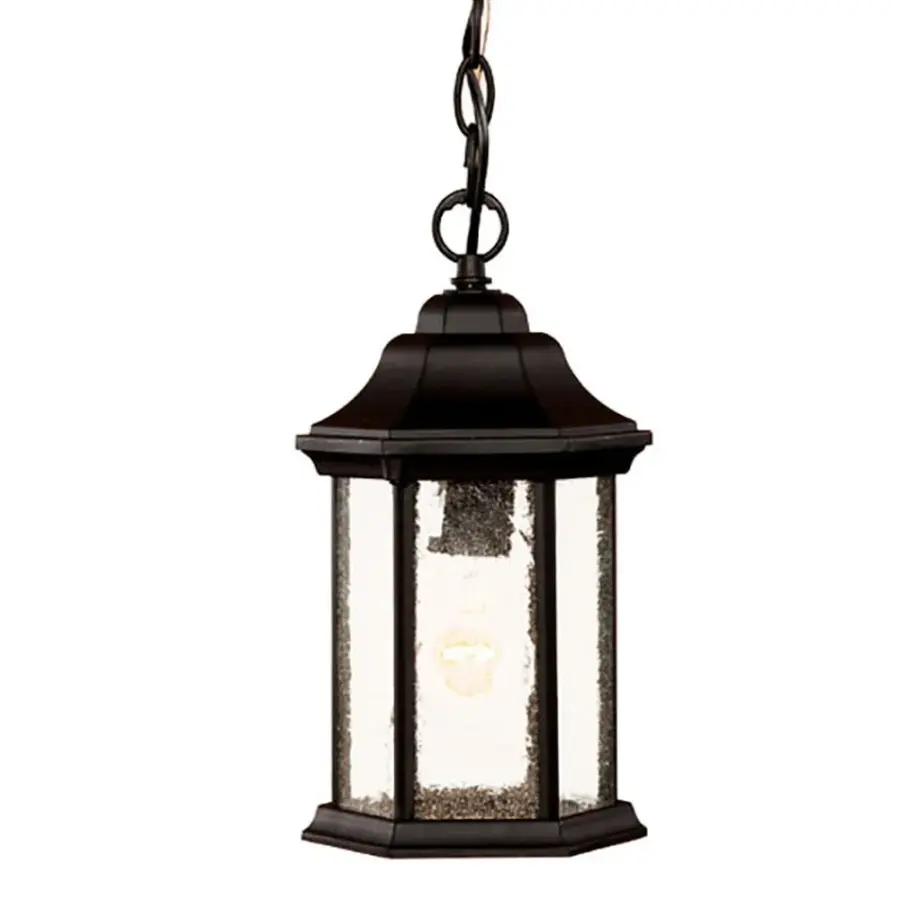 Madison 1-Light Outdoor Hanging Lantern