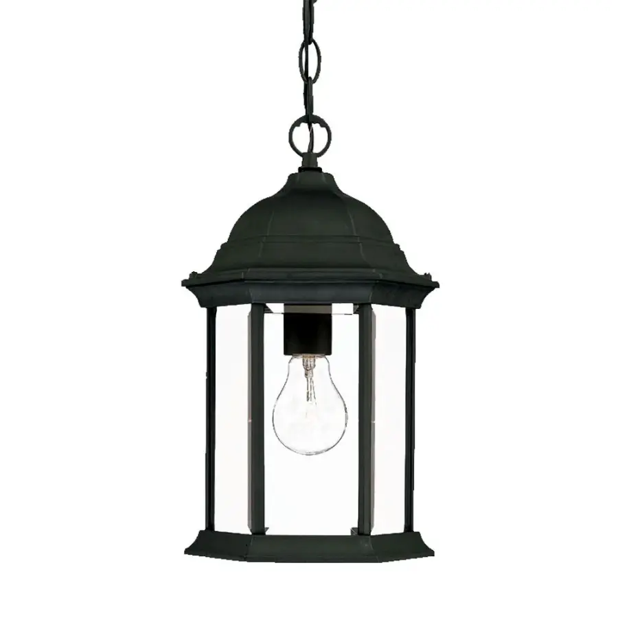 Madison 1-Light Outdoor Hanging Lantern