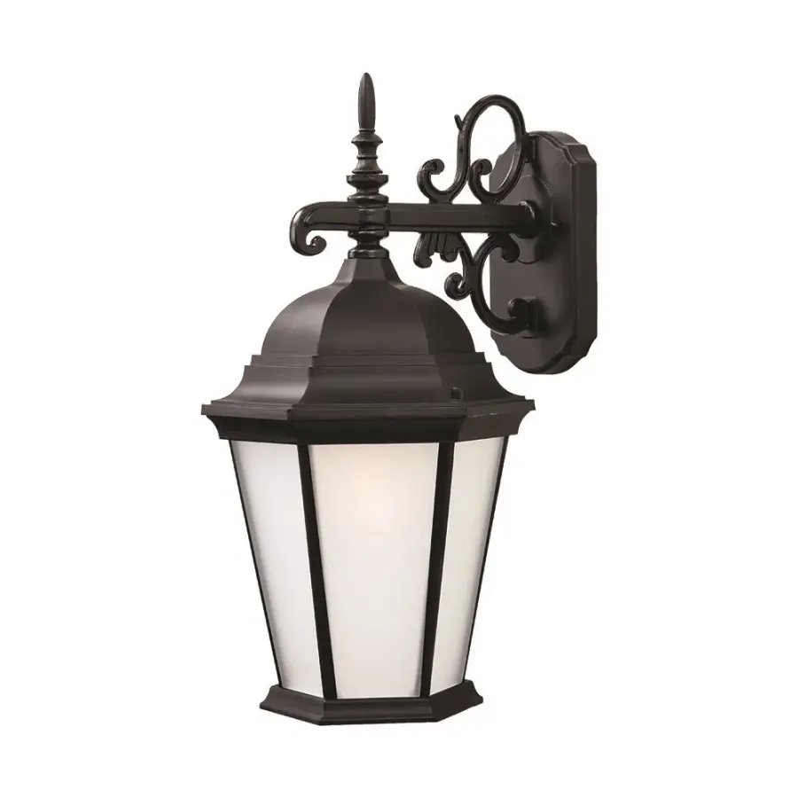 Richmond 1-Light Outdoor Wall Sconce