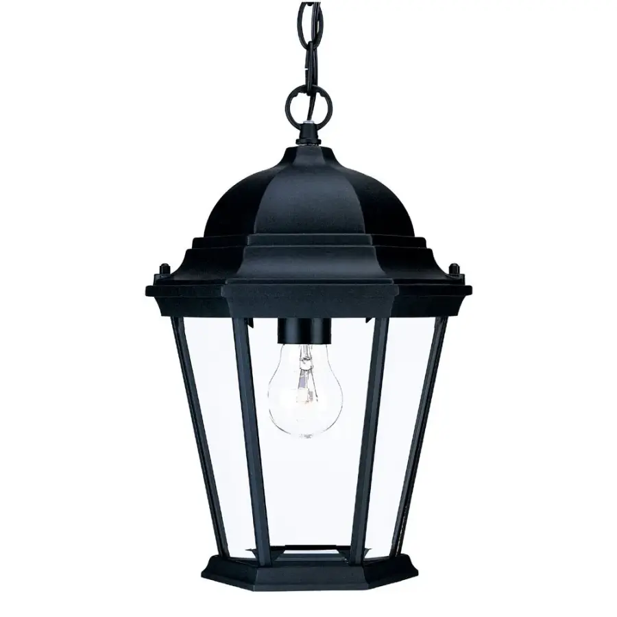 Richmond 1-Light Outdoor Hanging Lantern