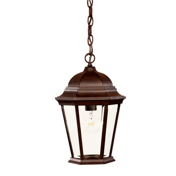 Richmond 1-Light Outdoor Hanging Lantern