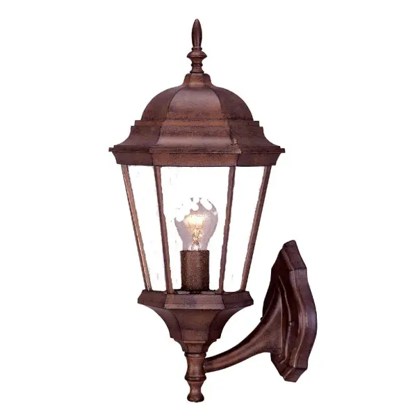Richmond 1-Light Outdoor Wall Lantern