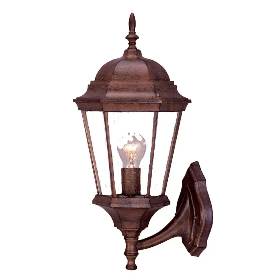 Richmond 1-Light Outdoor Wall Lantern