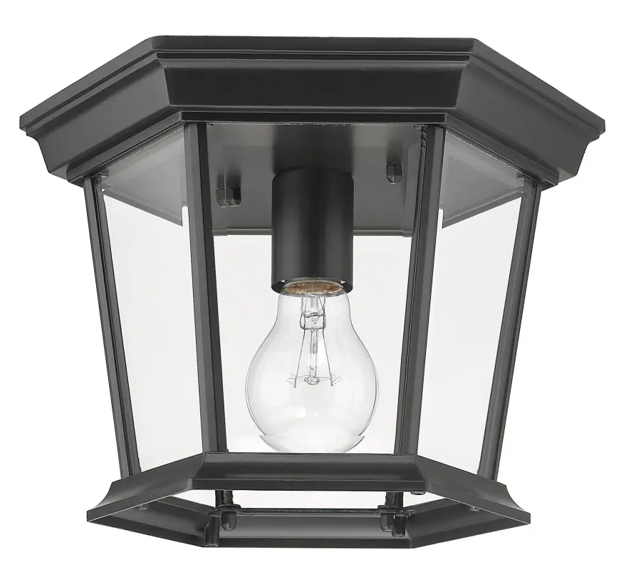 Dover 1-Light Outdoor Ceiling Mount in Matte Black