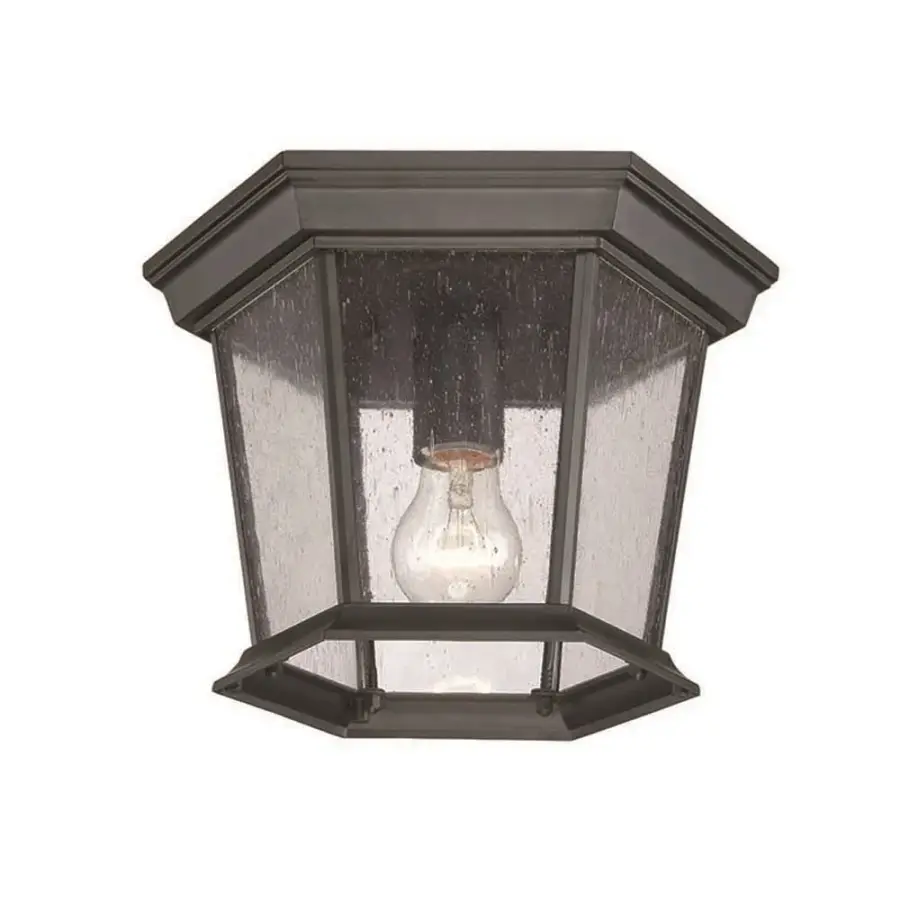 Dover 1-Light Outdoor Ceiling Mount in Matte Black