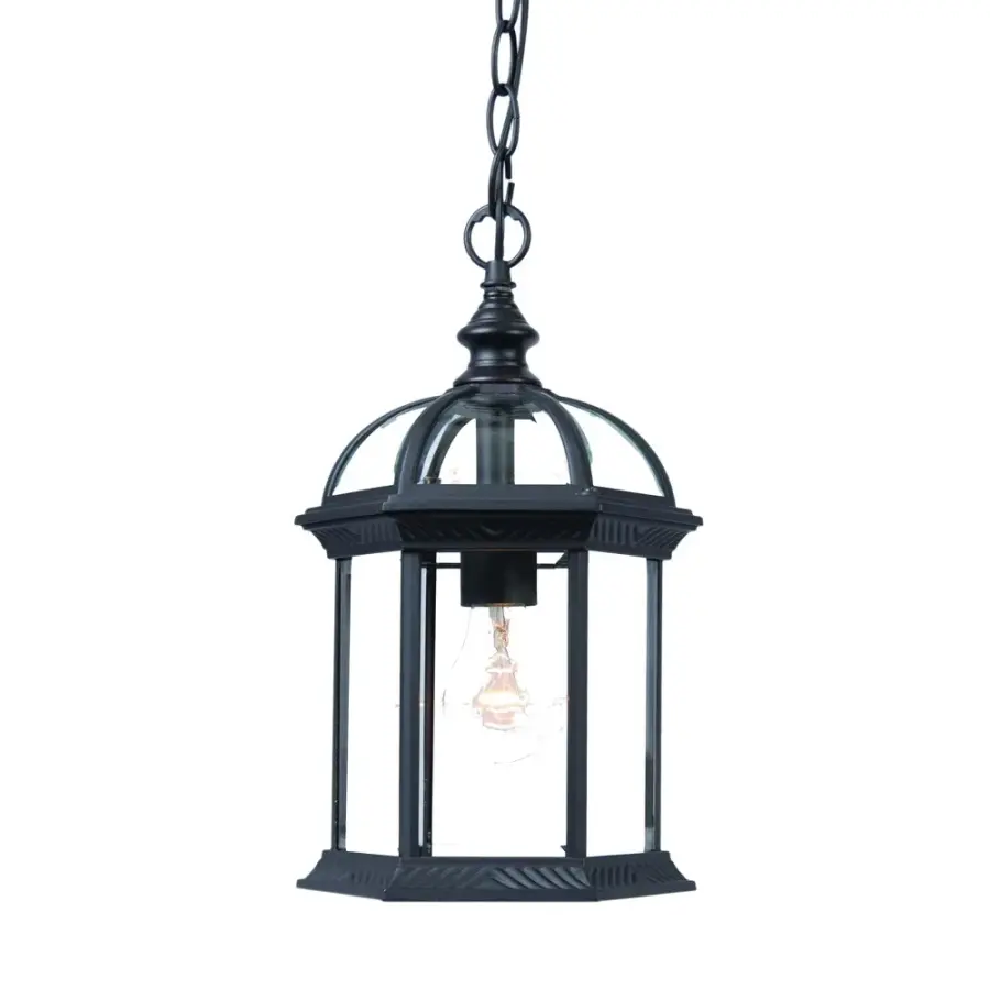 Dover 1-Light Outdoor Hanging Lantern