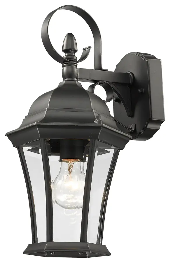 New Orleans 1-Light Outdoor Wall Sconce - Image 4