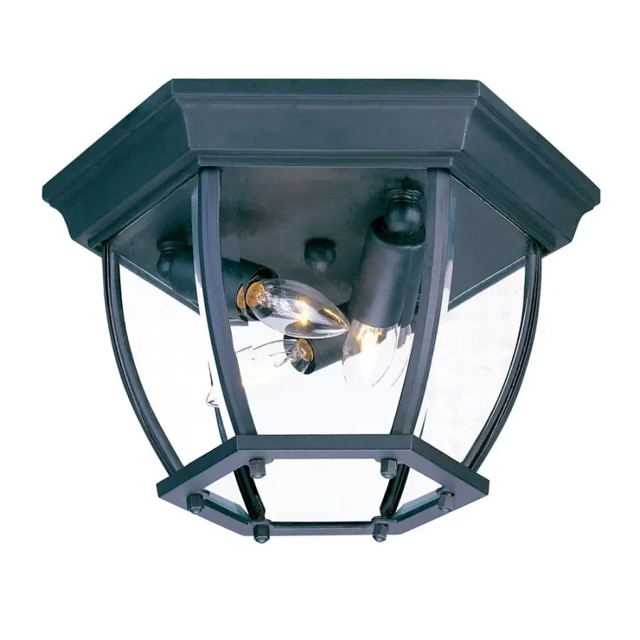 Outdoor Flush Mount 3-Light Ceiling Fixture - Image 1
