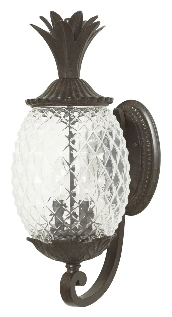 Lanai 2-Light Outdoor Wall Sconce - Image 1