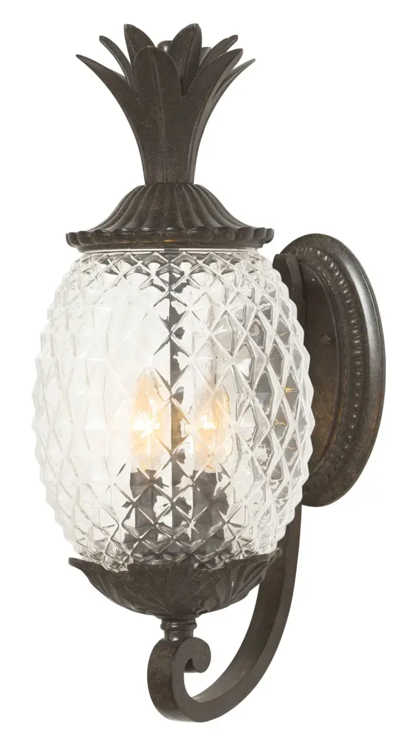 Lanai 2-Light Outdoor Wall Sconce - Image 2