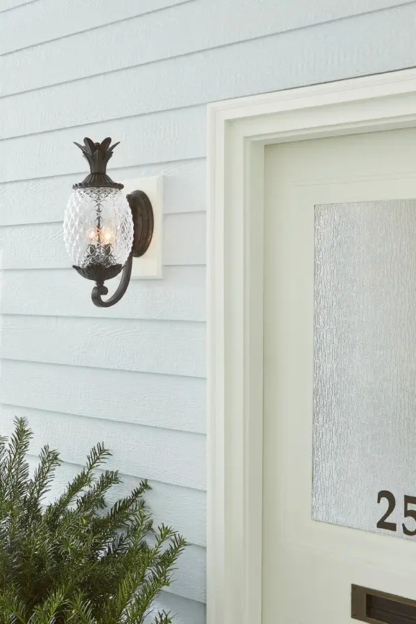 Lanai 2-Light Outdoor Wall Sconce - Image 8