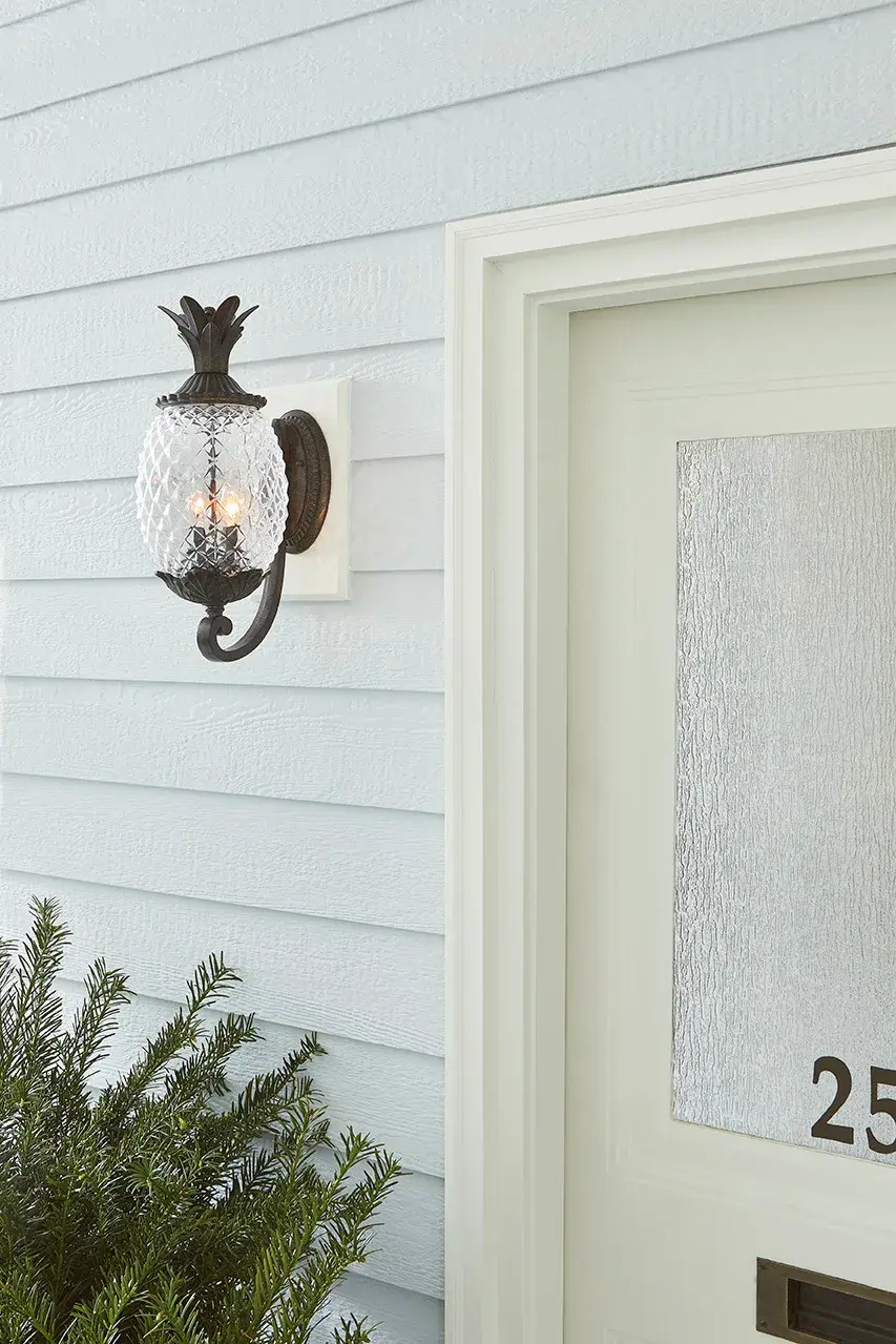 Lanai 2-Light Outdoor Wall Sconce - Image 8