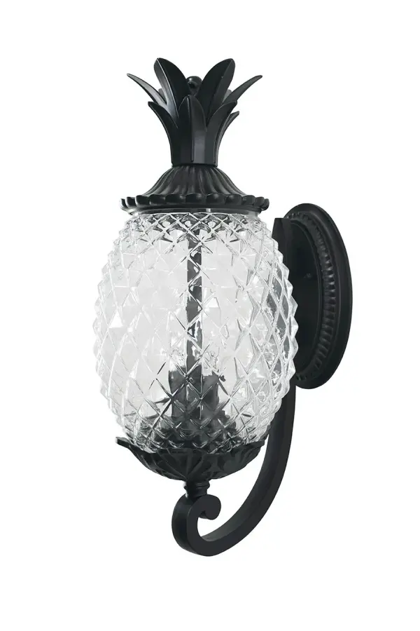 Lanai 2-Light Outdoor Wall Sconce - Image 2