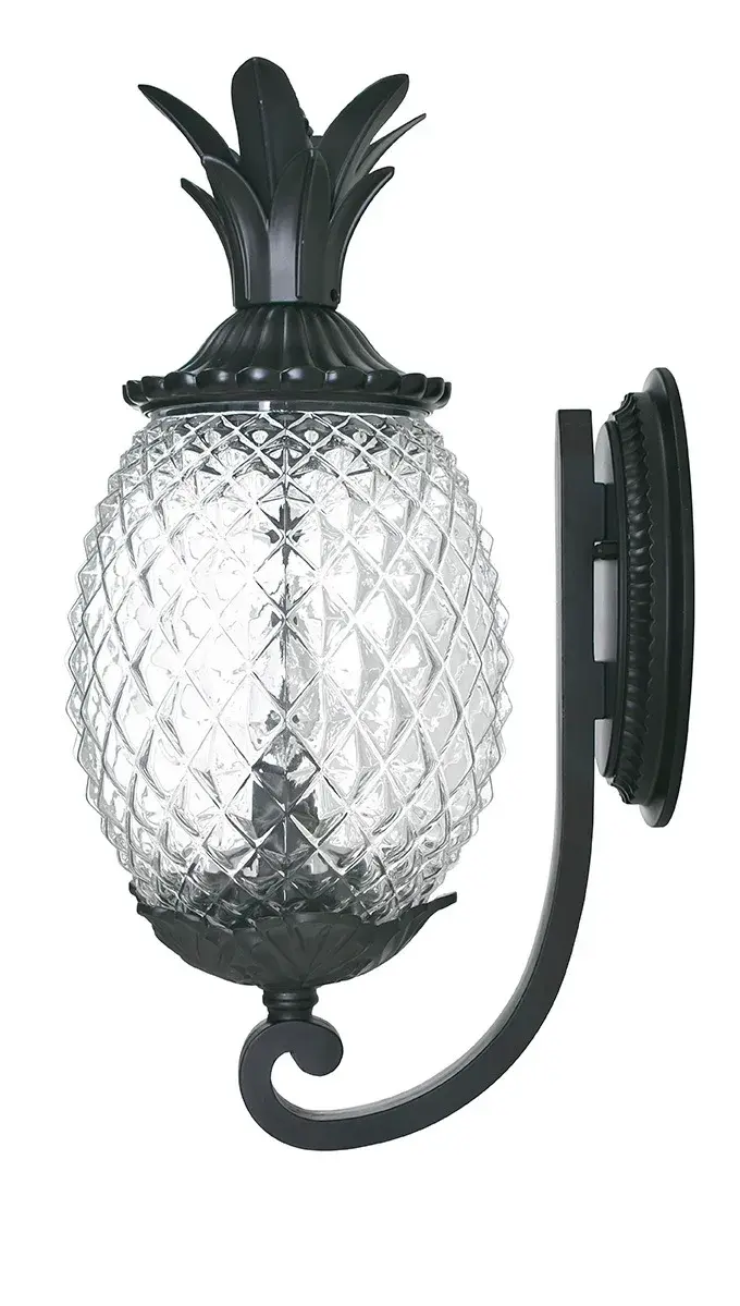Lanai 2-Light Outdoor Wall Sconce - Image 3