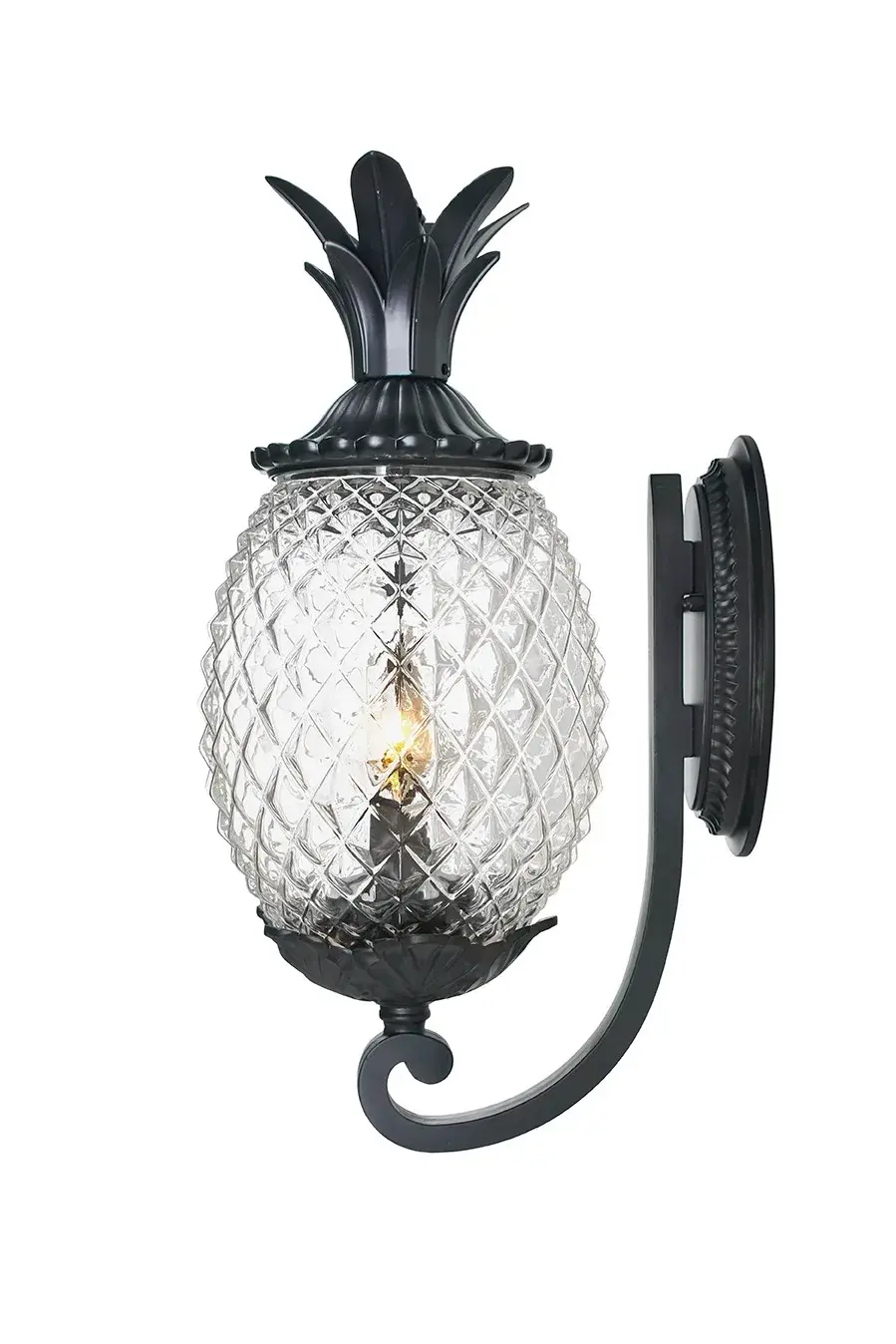 Lanai 2-Light Outdoor Wall Sconce - Image 4