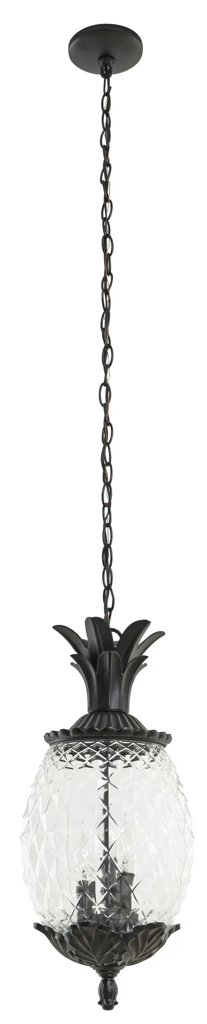 Lanai 3-Light Outdoor Hanging Lantern