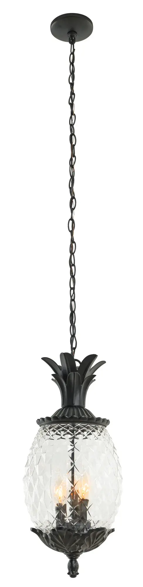 Lanai 3-Light Outdoor Hanging Lantern - Image 2