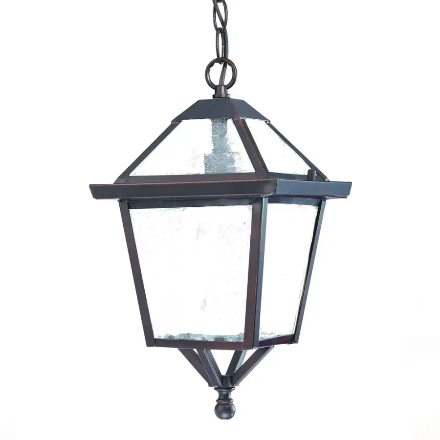 Bay Street 1-Light Outdoor Hanging Lantern