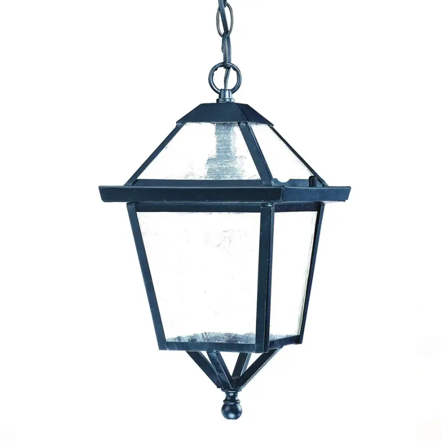 Bay Street 1-Light Outdoor Hanging Lantern