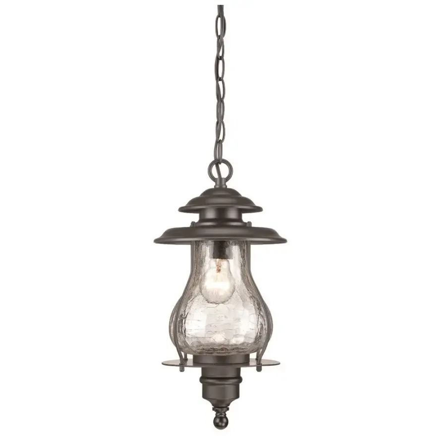 Blue Ridge 1-Light Outdoor Hanging Lantern