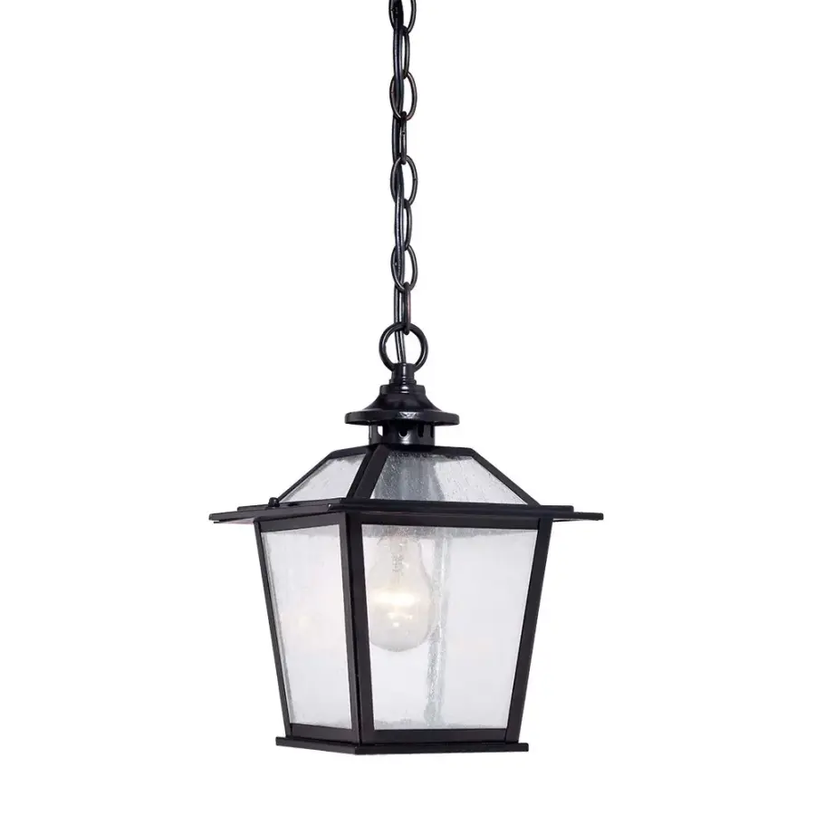 Salem 1-Light Outdoor Hanging Lantern