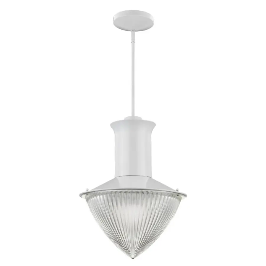 Skylar 1-Light Pendant in White