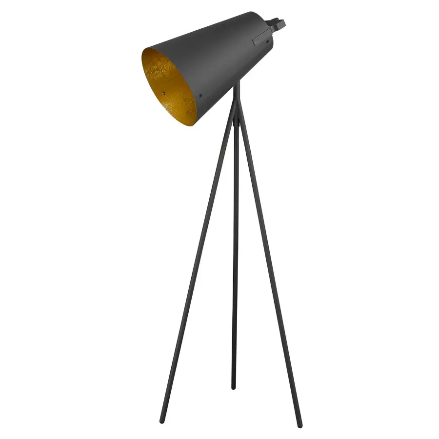 Faza 1-Light Floor Lamp in Matte Black - Image 1