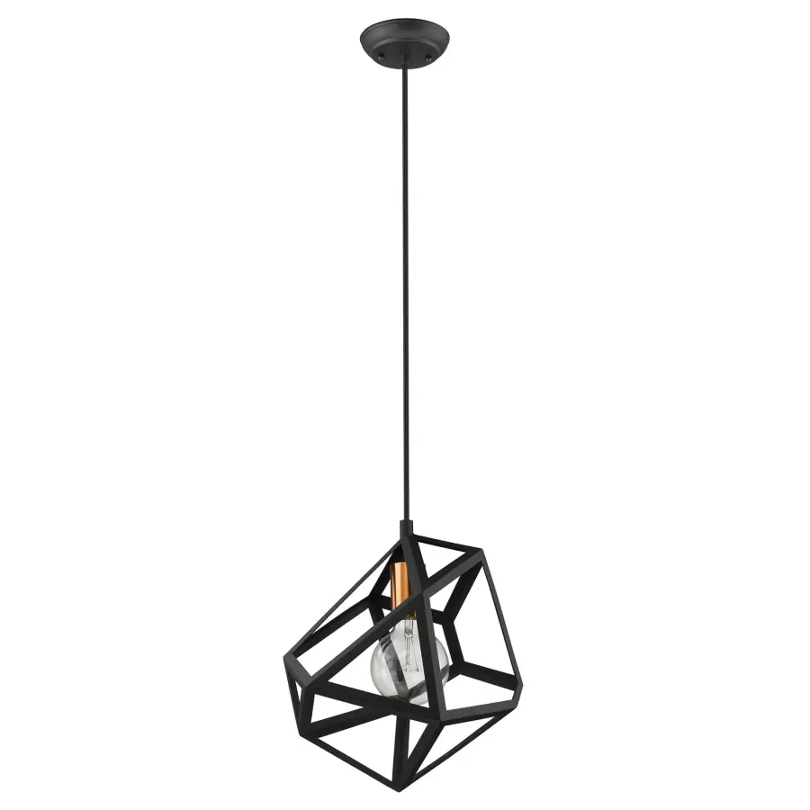 Hedron 1-Light Pendant in Matte Black - Image 1