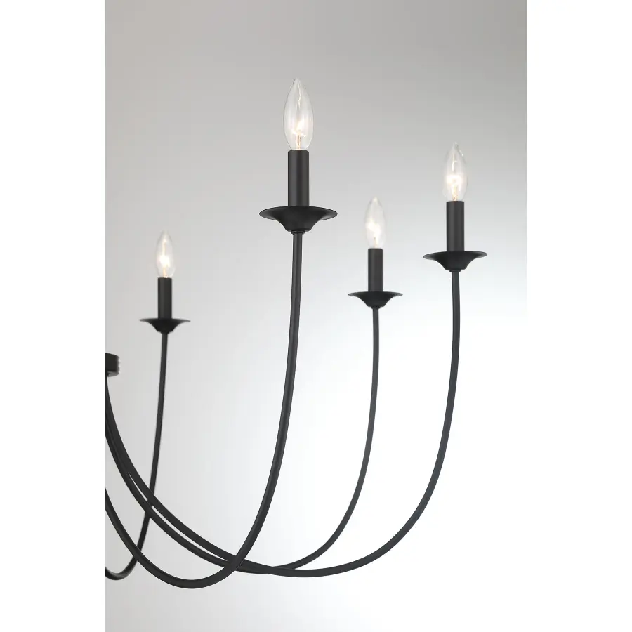 Stonecrest 8-Light Chandelier in Matte Black - Image 6