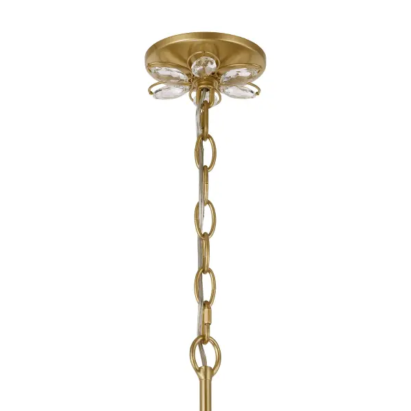 Marbella 6-Light Chandelier in Gold Shimmer by Breegan Jane - Image 6