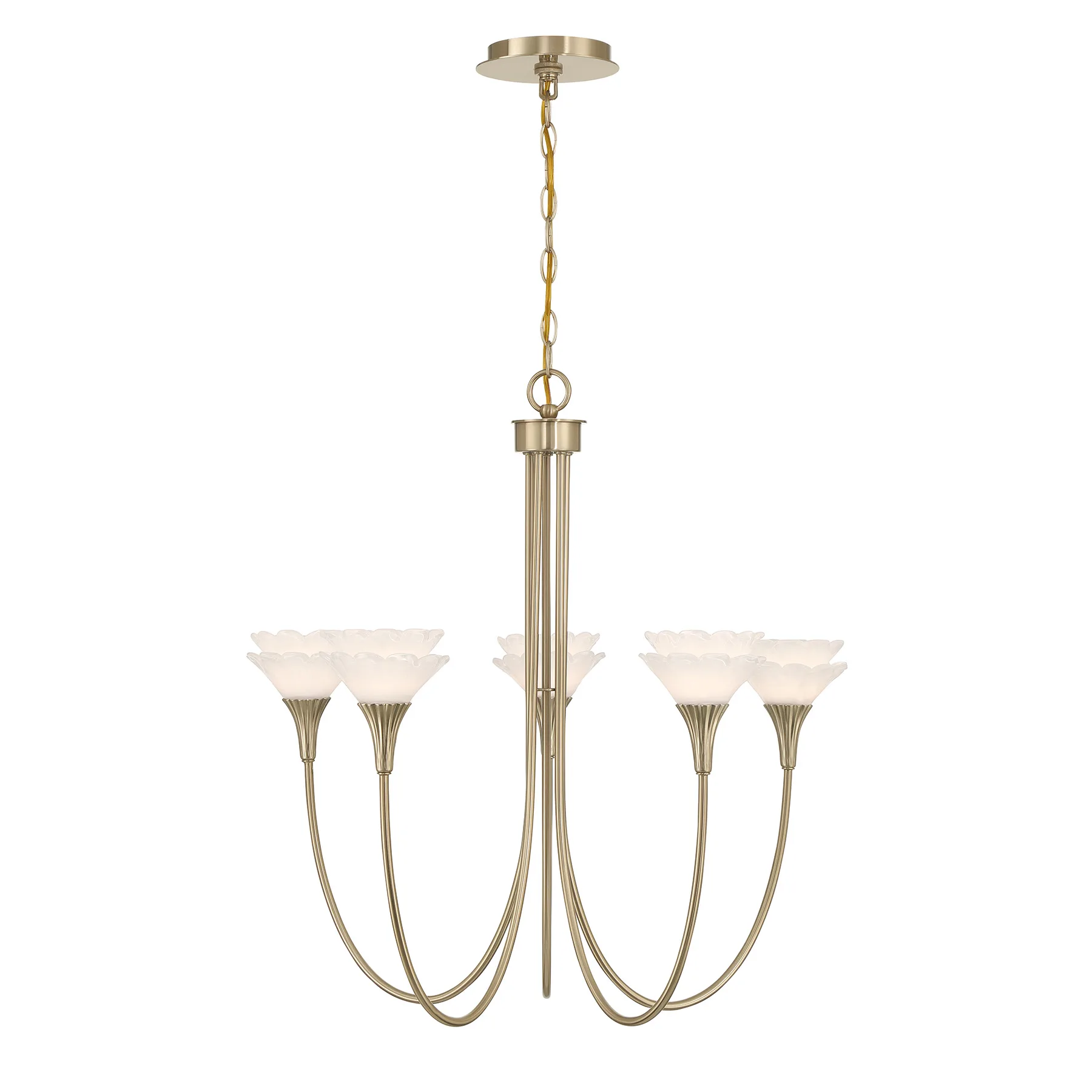 Florena Five Light Chandelier in Noble Brass