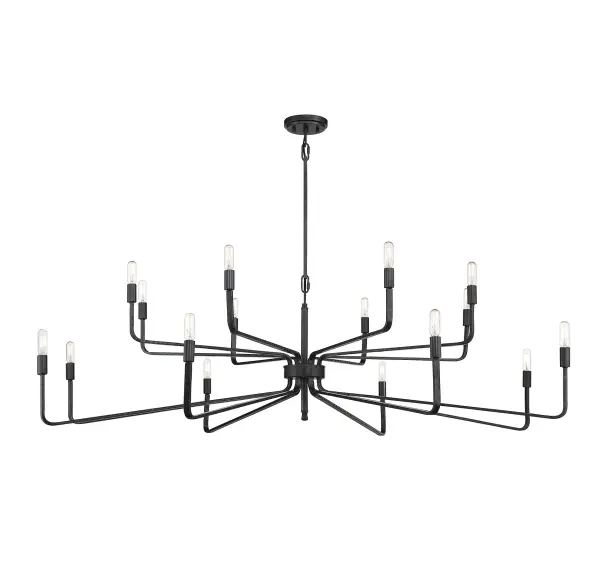 Salem 16-Light Chandelier in Forged Iron - Image 3